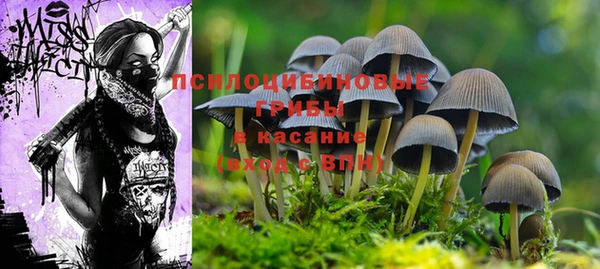 прущий лед Армянск